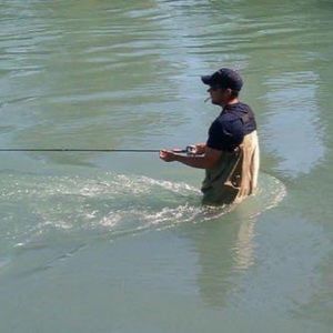 Meet your Posher, Jacob